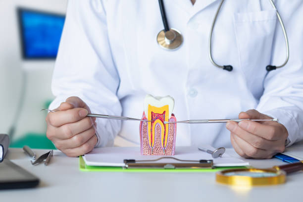 Best Emergency Treatment for Dental Infections or Abscesses in Muscle Shos, AL